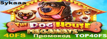 Сукааа Sykaaa 40 FS по промокоду TOP40FS в The Dog House Megaways